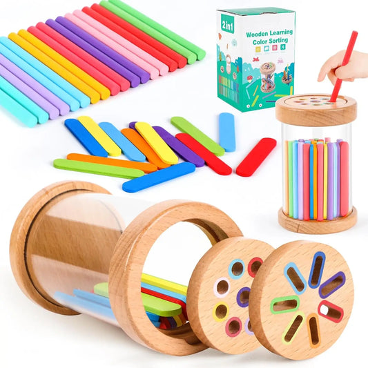 🎨 Montessori Wooden Colour Sorting Toy – Fun Sensory Learning for Curious Little Hands 🌈